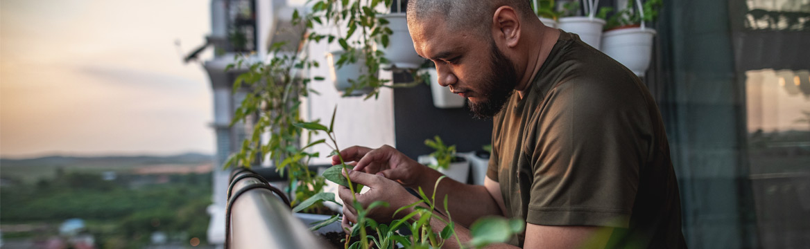 man staat op balkon en verzorgd zijn planten