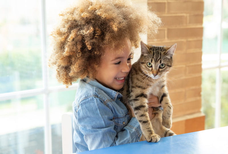 De huisdierverzekering van OpGroen - Een zorgverzekering speciaal voor je maatje