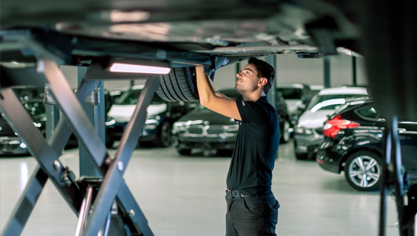 Foto OpGroen Autoverzekering