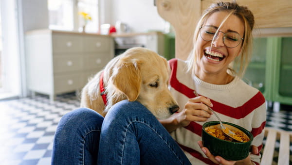 Foto OpGroen Inboedelverzekering