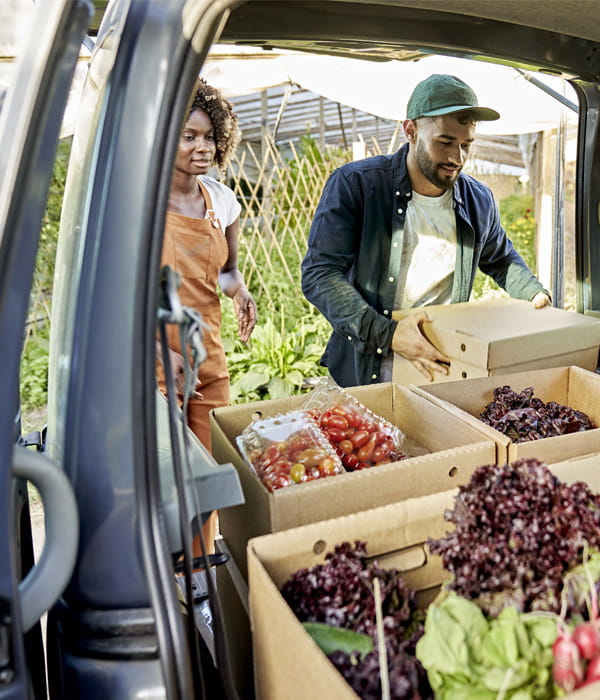 Twee mensen zijn een bestelauto aan het inladen met groente en fruit